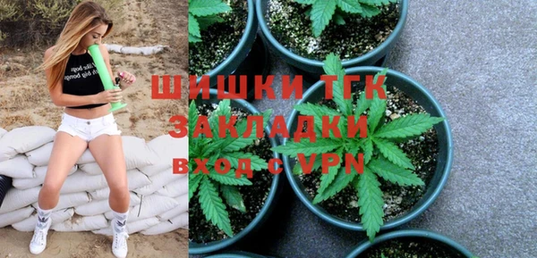 гашик Алзамай