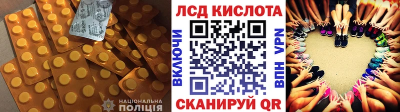 shop как зайти  omg вход  Новоуральск  даркнет сайт  Лсд 25 экстази кислота 