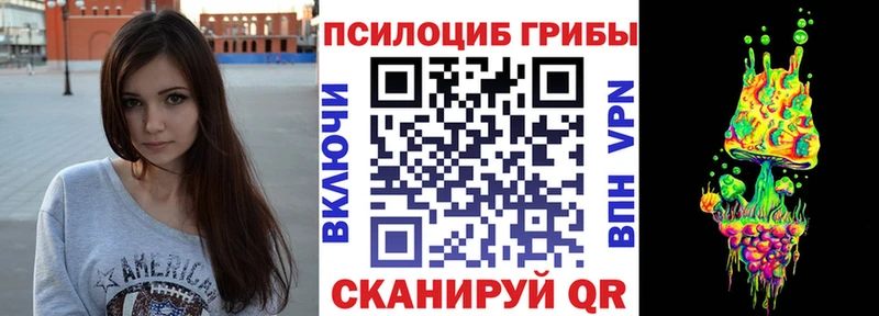 Псилоцибиновые грибы Psilocybe кракен ONION Новоуральск как найти закладки